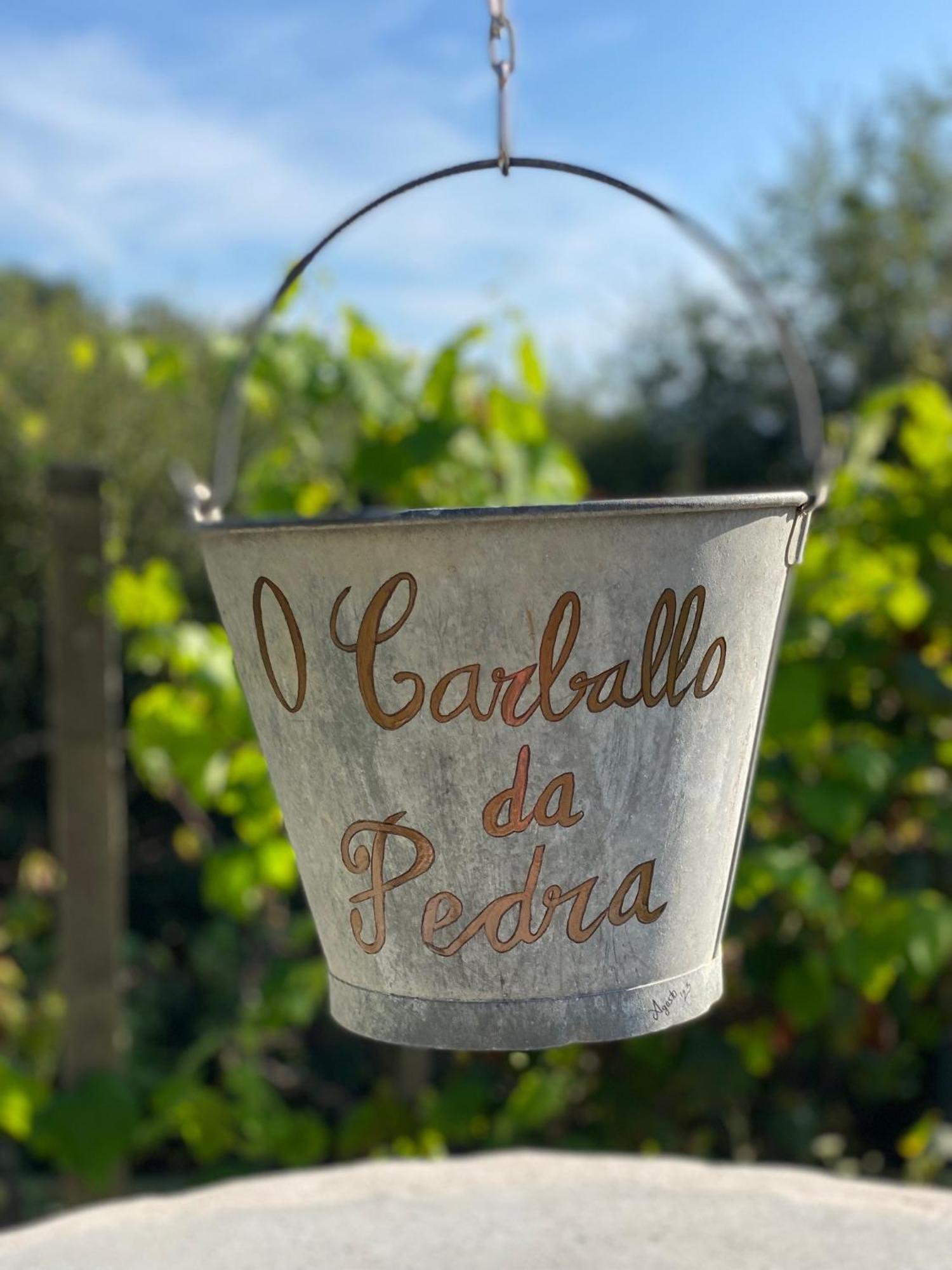 Casa Rural O Carballo Da Pedra La Caniza Eksteriør bilde